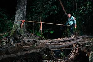 BIB: 
                            <button type="button" onclick="openModal(27433384)" class="btn btn-primary btn-sm float-right btn-popup" data-toggle="modal" data-target=".modal-high-quality">
                        <i class="fas fa-shopping-cart"></i> Add to Cart
                    </button>
                                            <button type="button" onclick="isThisMe(27433384, true)" class="btn btn-success btn-sm float-right btn-popup btn-isme hidden" data-toggle="tooltip" data-placement="bottom" title="นี่คือรูปของคุณใช่ไหม คลิกที่นี่เพื่อเอาเข้าอัลบั้ม">
                        <i class="fas fa-plus"></i> Add to album
                    </button>
                    <button type="button" onclick="isThisMe(27433384, false)" class="btn btn-warning btn-sm float-right btn-popup btn-isnotme hidden">
                        <i class="fas fa-ban"></i> Remove from album
                    </button>